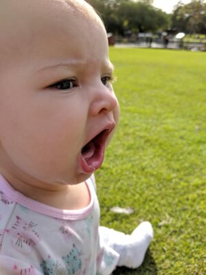 36587327 10158050250654848 732819363131817984 n