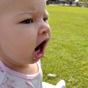 36587327 10158050250654848 732819363131817984 n